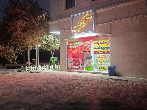 عکس هایپر گوشت پیچک