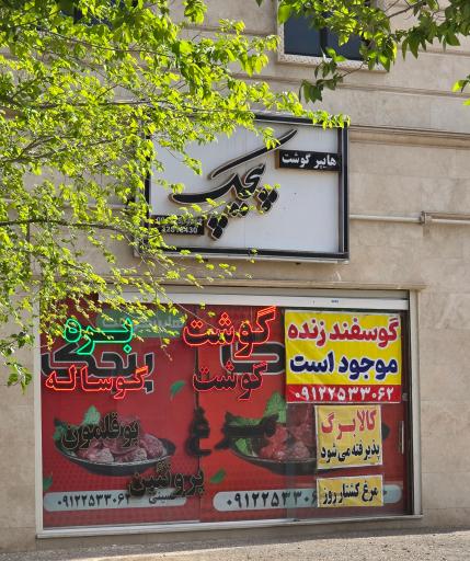 عکس هایپر گوشت پیچک