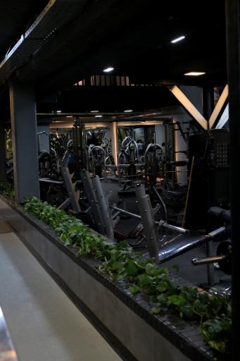 عکس مجموعه ورزشی احد