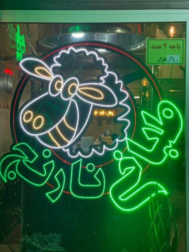 عکس طباخی نارنج