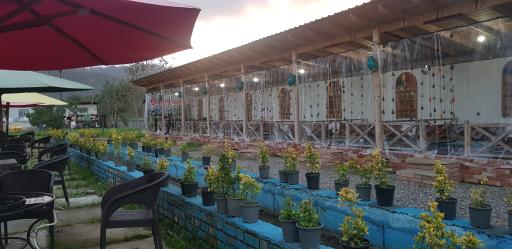 عکس رستوران شاهان