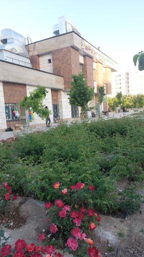 عکس مجموعه فرهنگی ورزشی شهید حسین ذوالفقاری