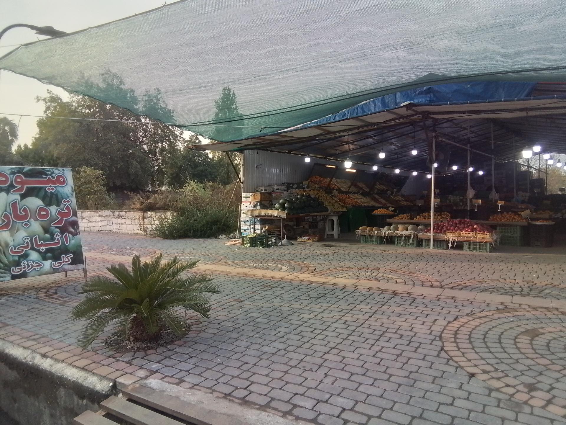 عکس میوه تره بار اثباتی