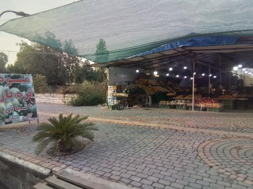 میوه تره بار اثباتی