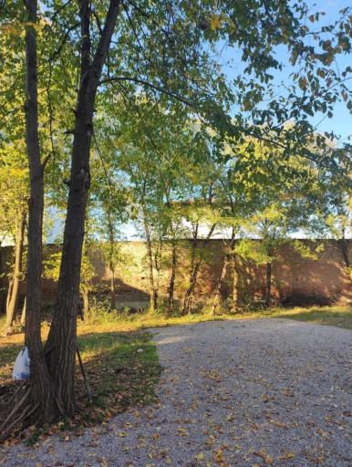 عکس پارکینگ شاداب