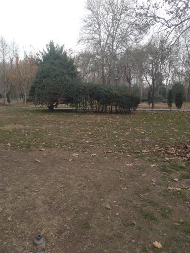 عکس بوستان لاله