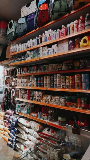 عکس پت شاپ پیروز