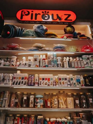 عکس پت شاپ پیروز