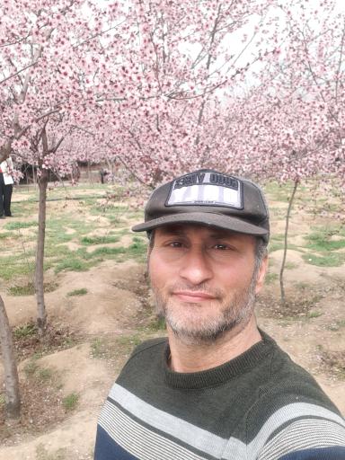 عکس ضلع غربی دریاچه چیتگر