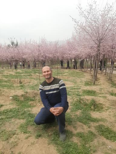 عکس ضلع غربی دریاچه چیتگر