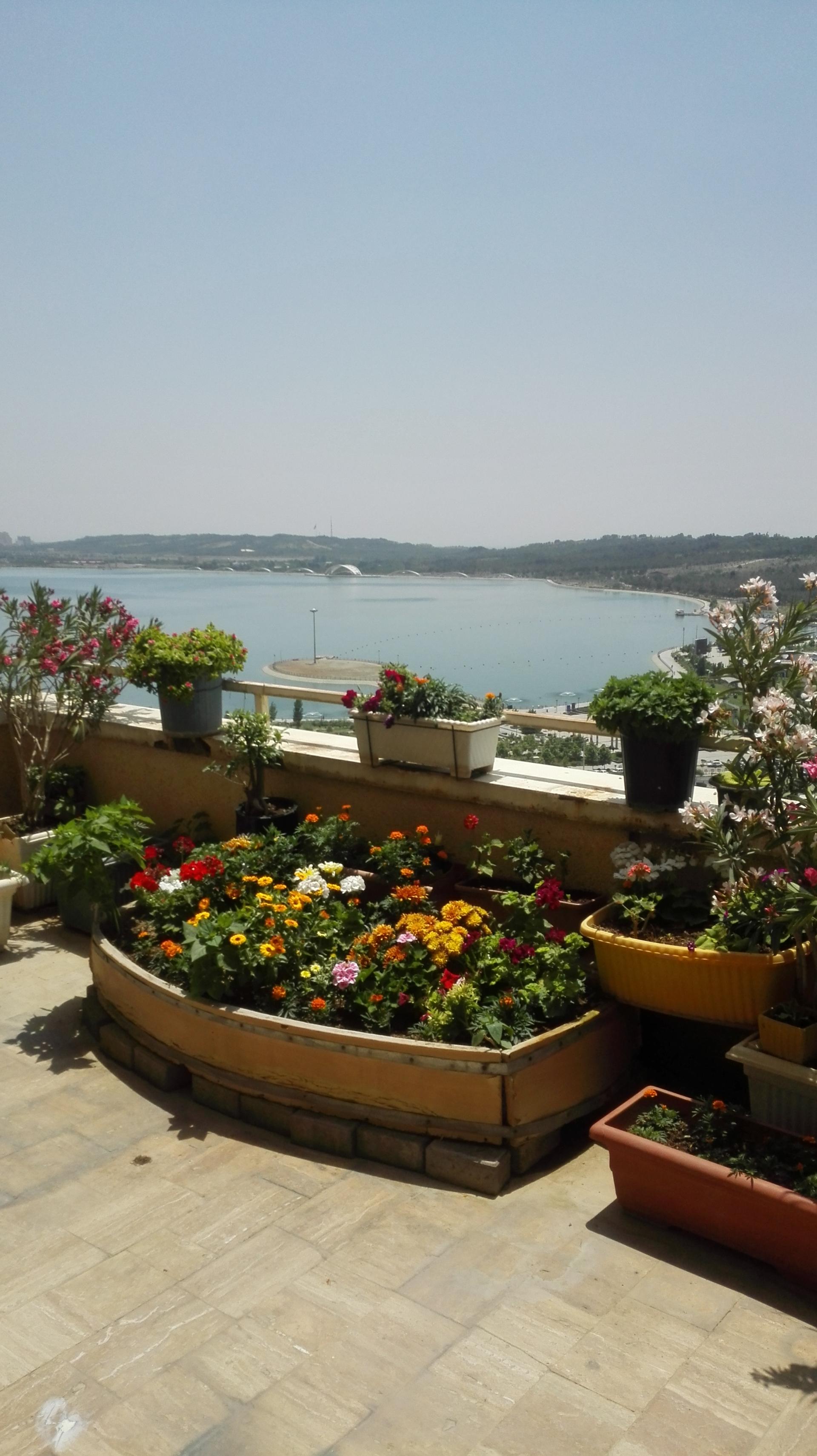 عکس ضلع غربی دریاچه چیتگر