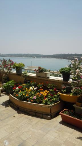 عکس ضلع غربی دریاچه چیتگر