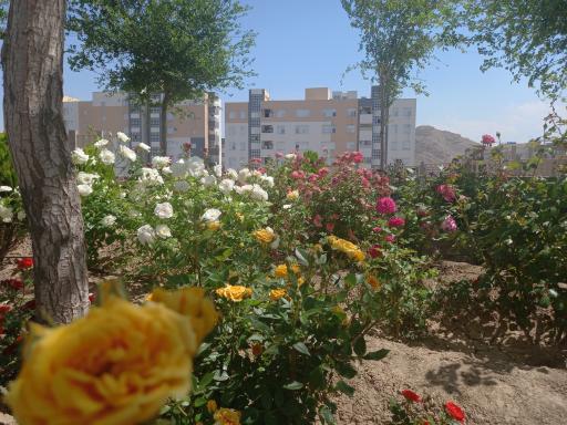 عکس مجتمع مسکونی الهیه ۱