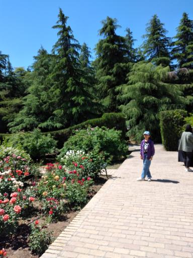 عکس موزه گیاه‌شناسی