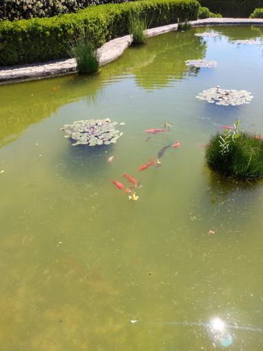 عکس موزه گیاه‌شناسی