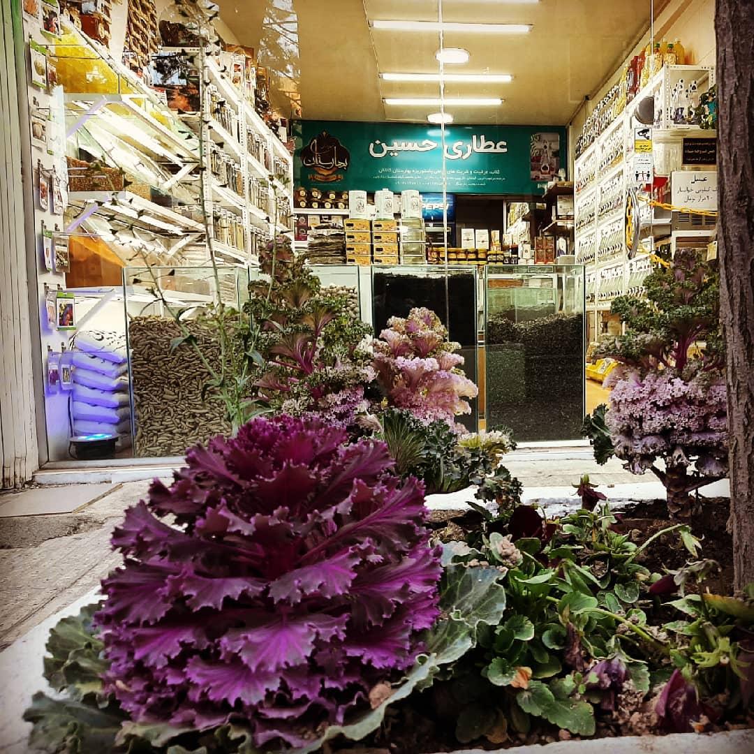 عکس عطاری حسین