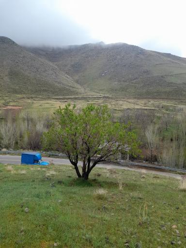 عکس گوشلان
