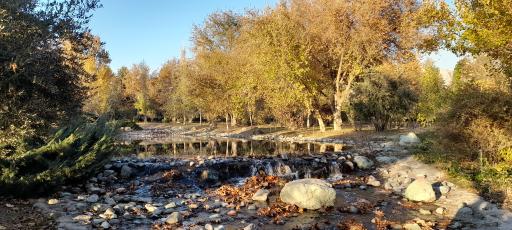 عکس موزه گیاه‌شناسی