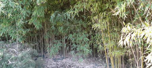 عکس موزه گیاه‌شناسی