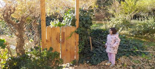 عکس موزه گیاه‌شناسی