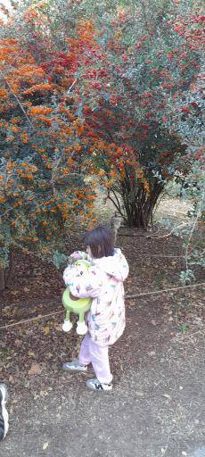 عکس موزه گیاه‌شناسی