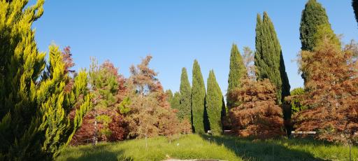 عکس موزه گیاه‌شناسی