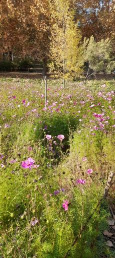 عکس موزه گیاه‌شناسی