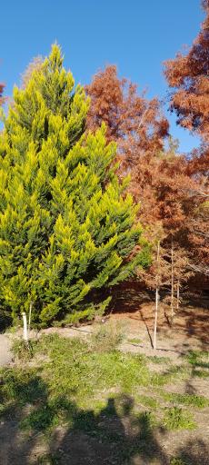 عکس موزه گیاه‌شناسی