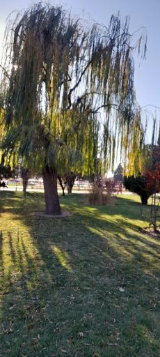 عکس موزه گیاه‌شناسی