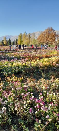 عکس موزه گیاه‌شناسی