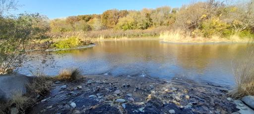 عکس موزه گیاه‌شناسی