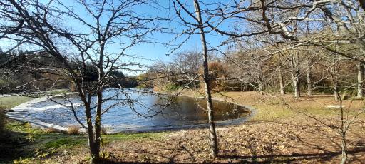 عکس موزه گیاه‌شناسی