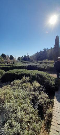 عکس موزه گیاه‌شناسی