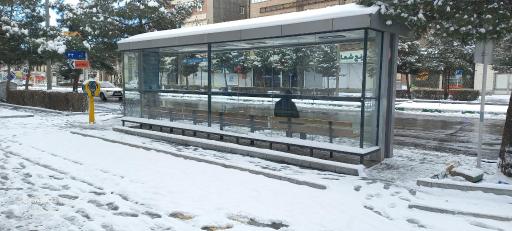 عکس شاهد ۳۳