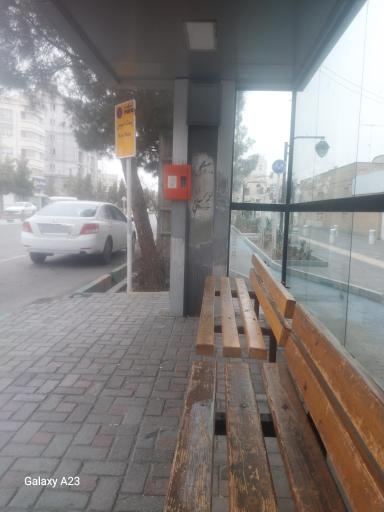 عکس شاهد ۳۳