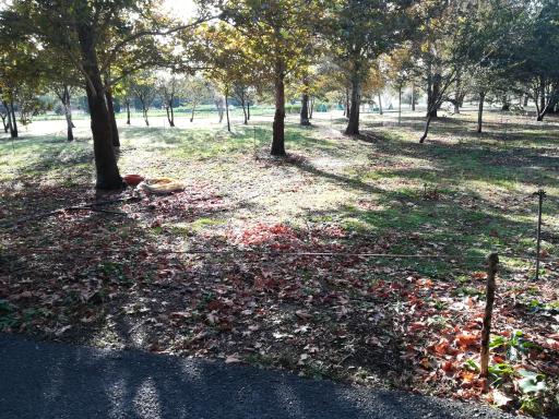 عکس موزه گیاه‌شناسی