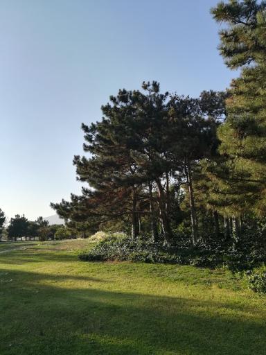 عکس موزه گیاه‌شناسی