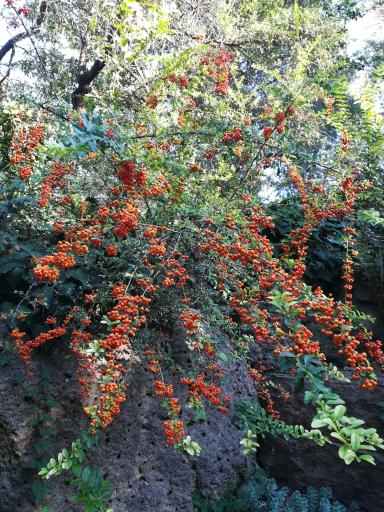 عکس موزه گیاه‌شناسی