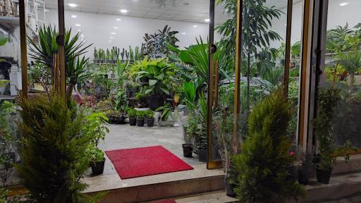 عکس فروشگاه گل هوشمند