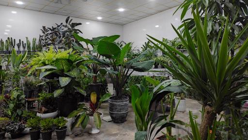 عکس فروشگاه گل هوشمند