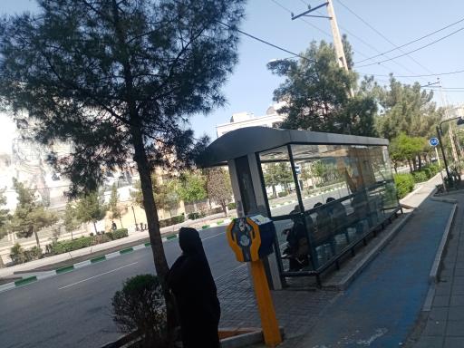 عکس شاهد ۳۳