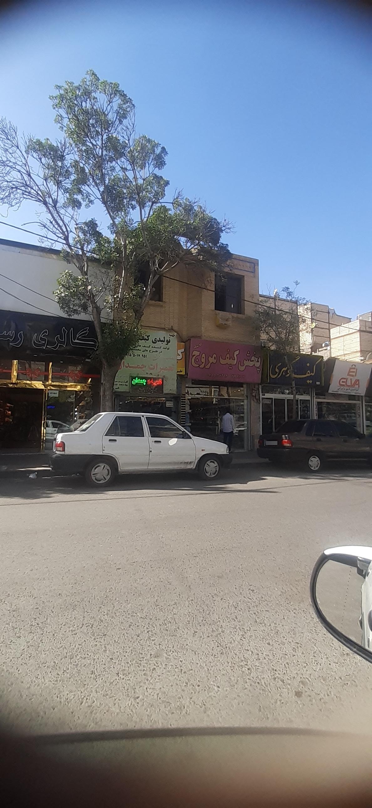 عکس کیف آیدین