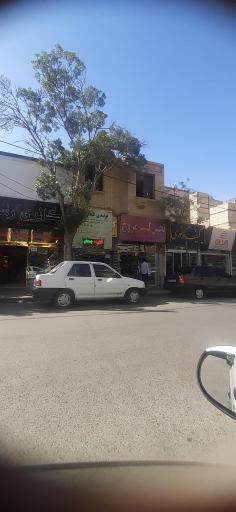 عکس کیف آیدین