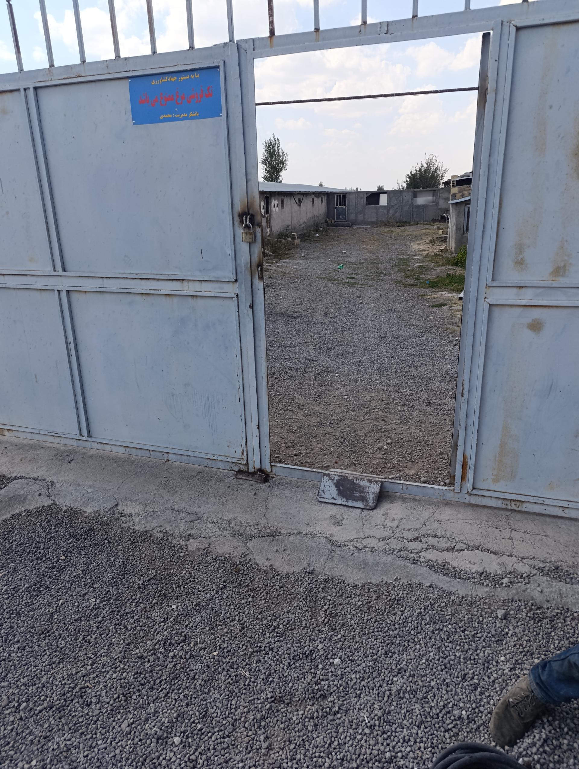 عکس مرغداری حمیدرضا نافضی