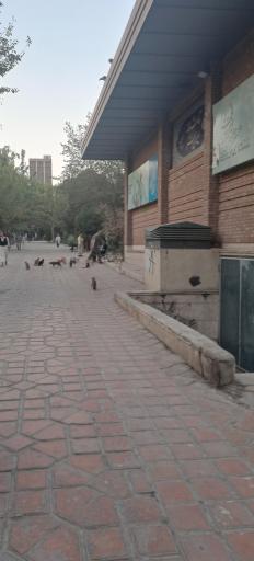 عکس بوستان هنرمندان