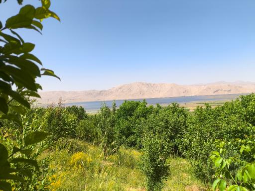 عکس تالاب چغاخور