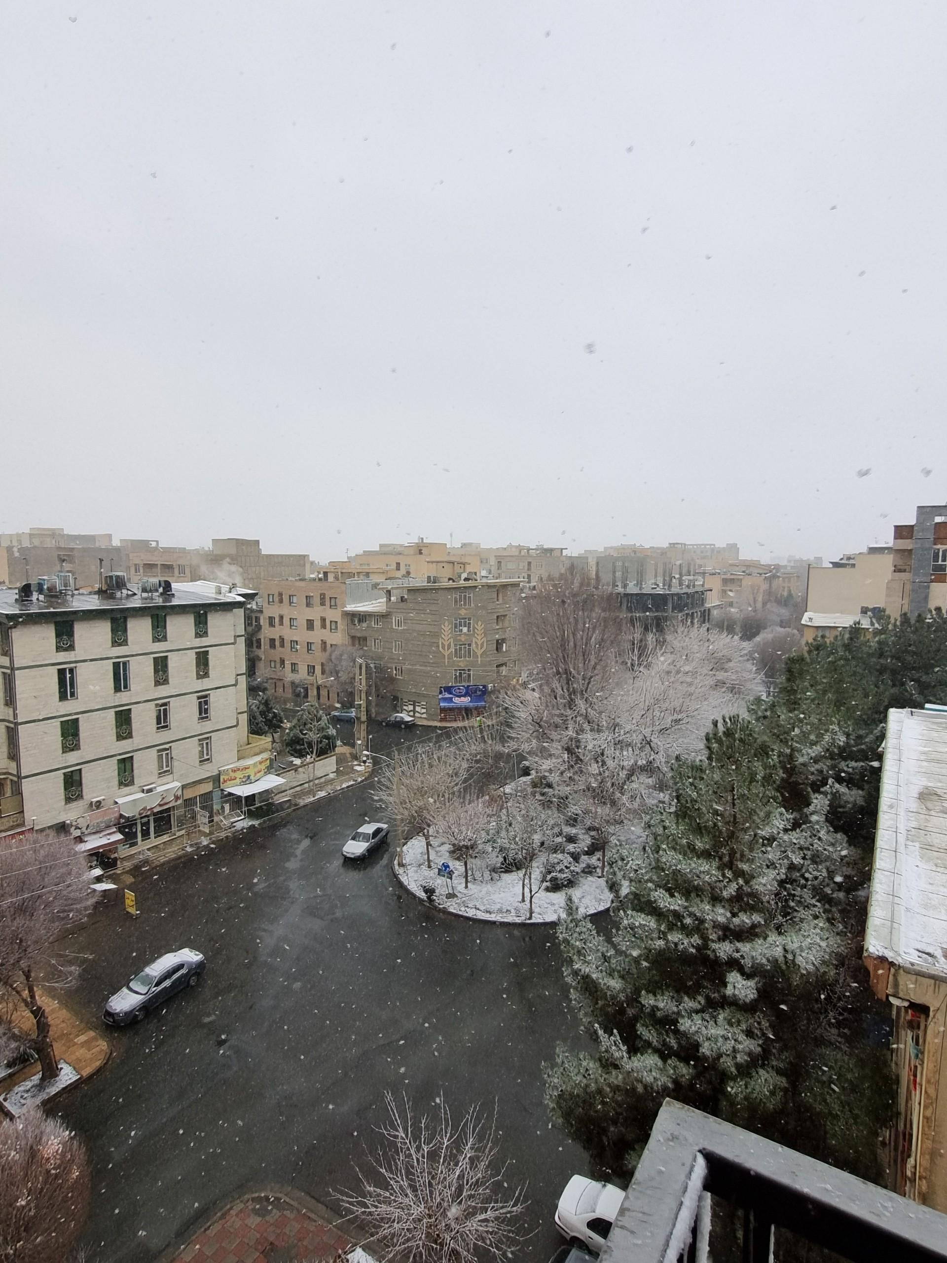 عکس میدان شقایق