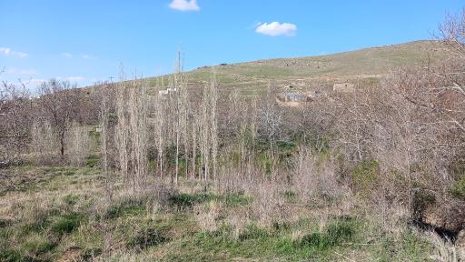 عکس گوشلان