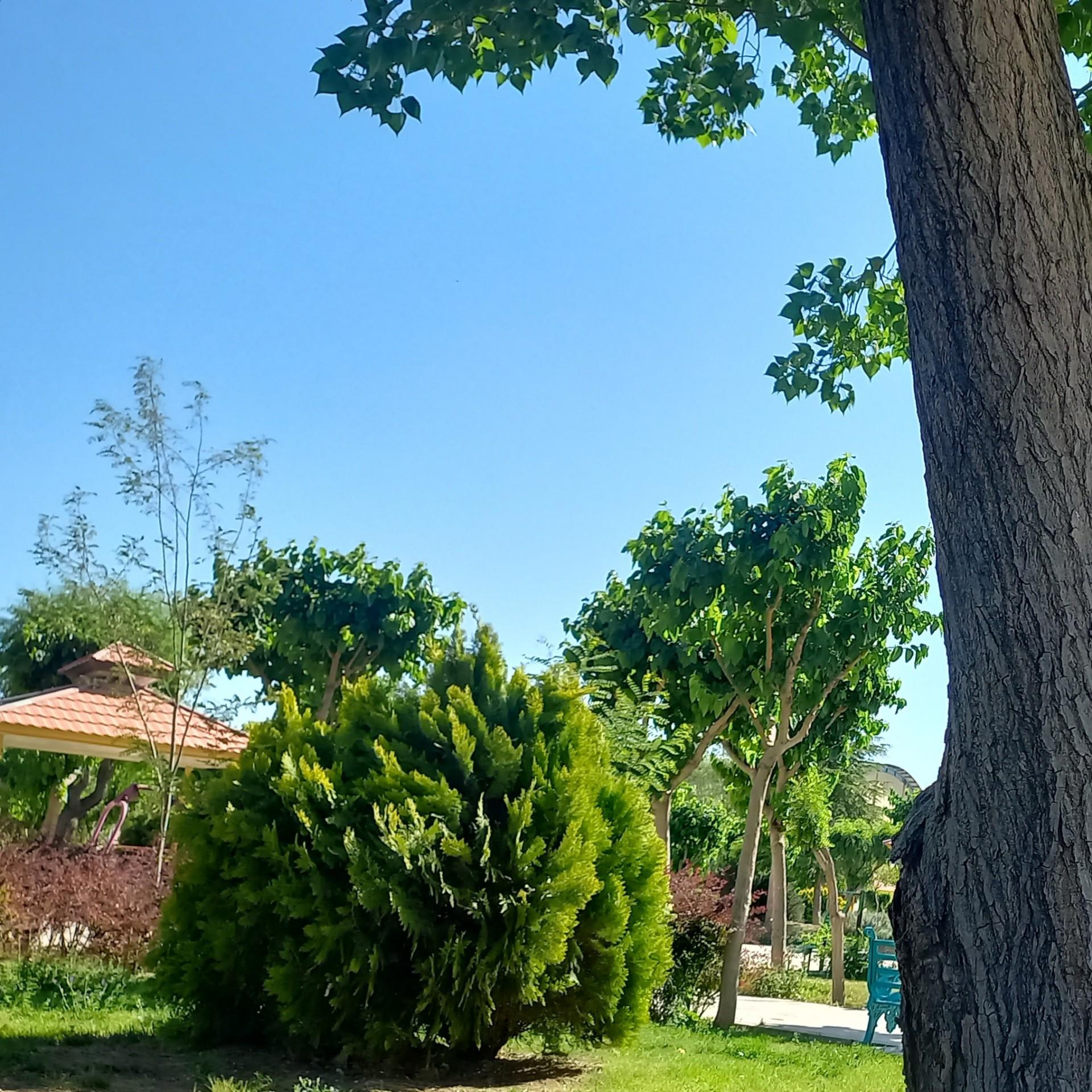 عکس بوستان الغدیر