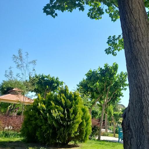 عکس بوستان الغدیر